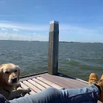 Traumblick Nr 31 Traumlage Erste Reihe Direkt Am Wattenmeer