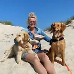 Traumblick Nr 31 Traumlage Erste Reihe Direkt Am Wattenmeer Westerland