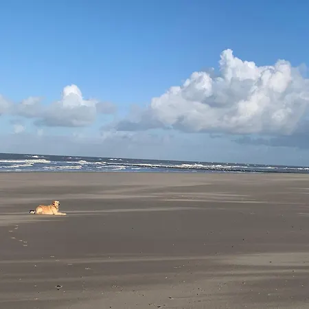 Traumblick Nr 31 Traumlage Erste Reihe Direkt Am Wattenmeer Holiday home *