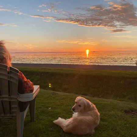 Traumblick Nr 31 Traumlage Erste Reihe Direkt Am Wattenmeer - B66750 Ferienhaus