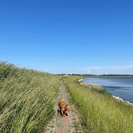 Traumblick Nr 31 Traumlage Erste Reihe Direkt Am Wattenmeer - B66750 * Westerland