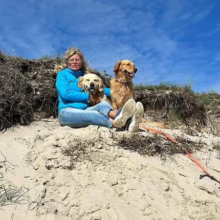 Ferienhaus Traumblick Nr 31 Traumlage Erste Reihe Direkt Am Wattenmeer - B66750