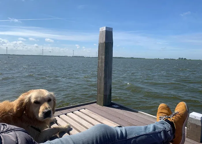 Traumblick Nr 31 Traumlage Erste Reihe Direkt Am Wattenmeer