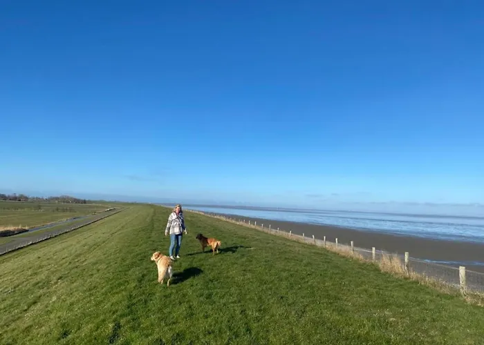 Traumblick Nr 31 Traumlage Erste Reihe Direkt Am Wattenmeer Дом отдыха Westerland
