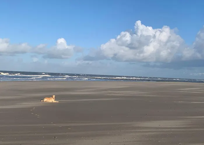 Traumblick Nr 31 Traumlage Erste Reihe Direkt Am Wattenmeer 펜션 *