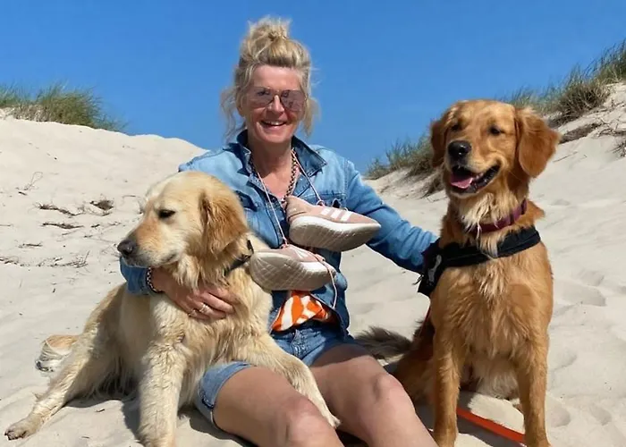 Traumblick Nr 31 Traumlage Erste Reihe Direkt Am Wattenmeer Westerland