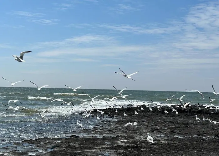펜션 Traumblick Nr 31 Traumlage Erste Reihe Direkt Am Wattenmeer