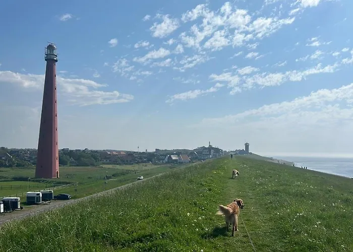 Traumblick Nr 31 Traumlage Erste Reihe Direkt Am Wattenmeer *