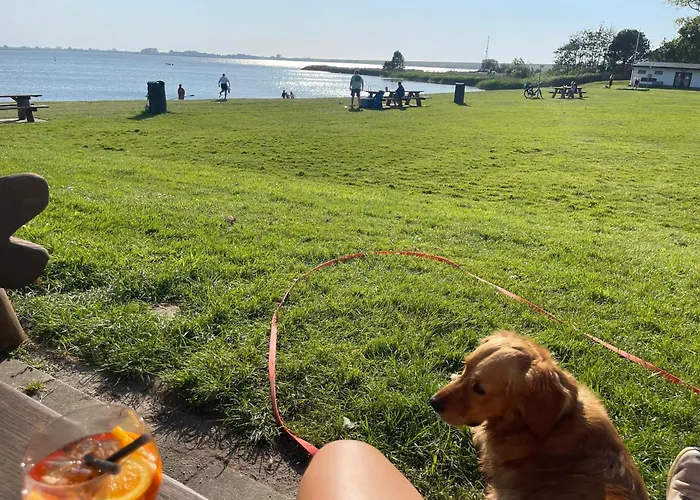 Traumblick Nr 31 Traumlage Erste Reihe Direkt Am Wattenmeer 펜션 Westerland