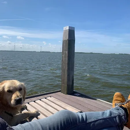 Traumblick Nr 31 Traumlage Erste Reihe Direkt Am Wattenmeer