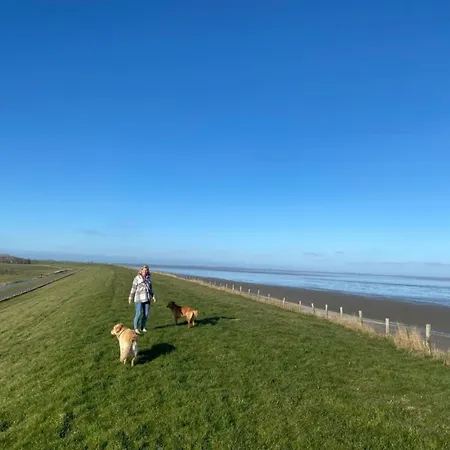 Traumblick Nr 31 Traumlage Erste Reihe Direkt Am Wattenmeer Tatil Evi Westerland