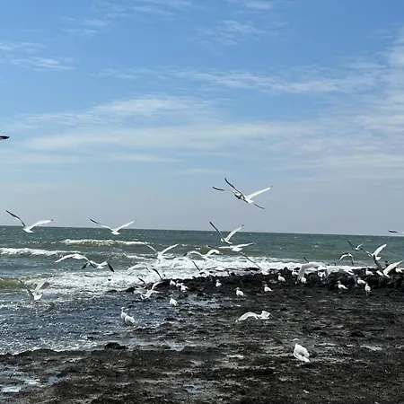 Сasa de vacaciones Traumblick Nr 31 Traumlage Erste Reihe Direkt Am Wattenmeer