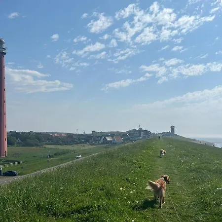 Traumblick Nr 31 Traumlage Erste Reihe Direkt Am Wattenmeer *