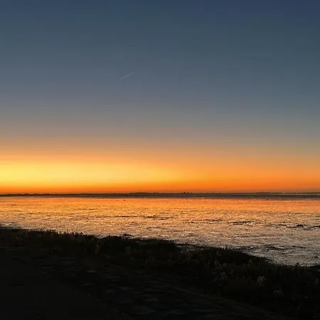 Tatil Evi Traumblick Nr 31 Traumlage Erste Reihe Direkt Am Wattenmeer Westerland
