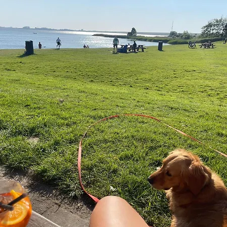 Traumblick Nr 31 Traumlage Erste Reihe Direkt Am Wattenmeer Tatil Evi Westerland